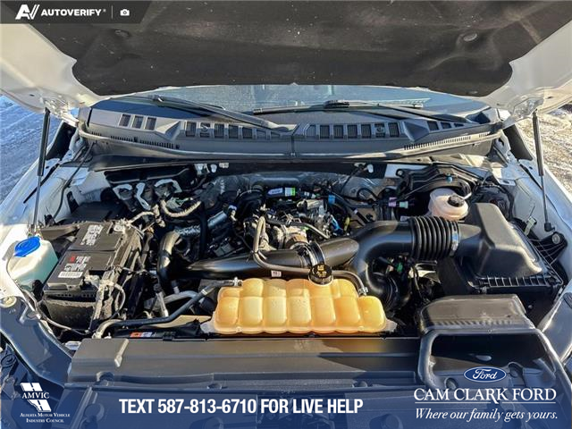 2020 Ford F-150 XLT (Stk: P1580) in Canmore - Image 10 of 27