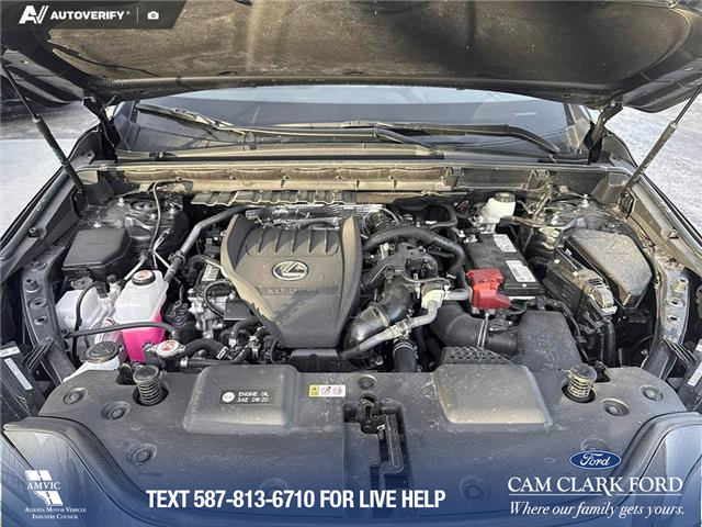 2023 Lexus NX 350 Base (Stk: P6895) in Olds - Image 10 of 25