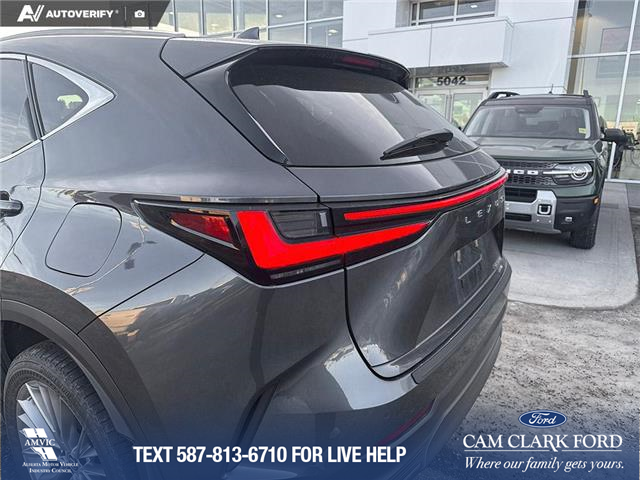 2023 Lexus NX 350 Base (Stk: P6895) in Olds - Image 11 of 25