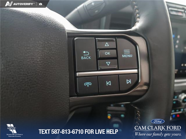 2024 Ford F-350 Platinum (Stk: U37908) in Red Deer - Image 16 of 25