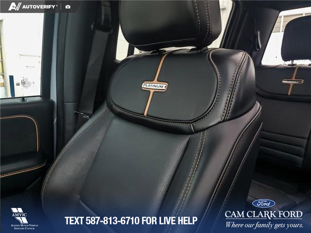 2024 Ford F-350 Platinum (Stk: U37908) in Red Deer - Image 20 of 25