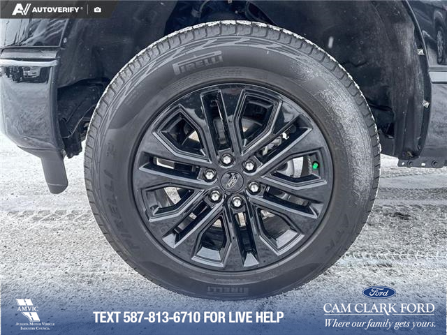 2023 Ford F-150 XL (Stk: P6862) in Olds - Image 6 of 23