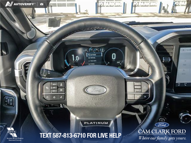 2023 Ford F-150 Platinum (Stk: U37934) in Red Deer - Image 14 of 25