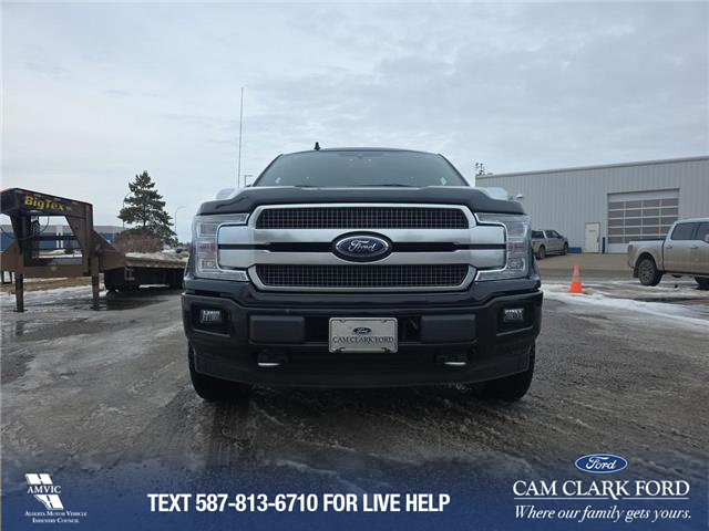 2020 Ford F-150 Platinum (Stk: U37948) in Red Deer - Image 2 of 6