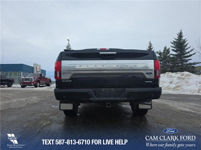 2020 Ford F-150 Platinum (Stk: U37948) in Red Deer - Image 5 of 6