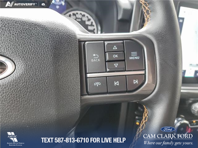 2023 Ford F-150 Tremor (Stk: U37930) in Red Deer - Image 16 of 25