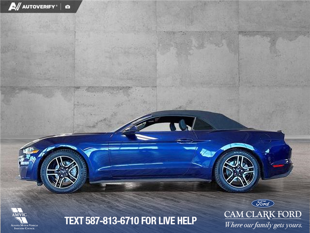 2020 Ford Mustang EcoBoost (Stk: P14825) in Airdrie - Image 3 of 25