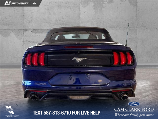 2020 Ford Mustang EcoBoost (Stk: P14825) in Airdrie - Image 5 of 25