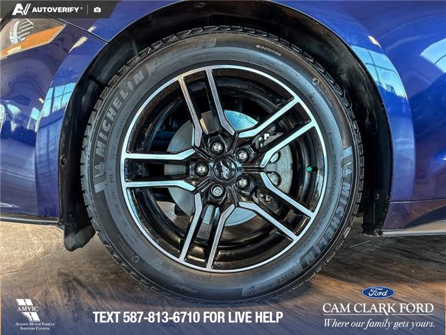 2020 Ford Mustang EcoBoost (Stk: P14825) in Airdrie - Image 6 of 25