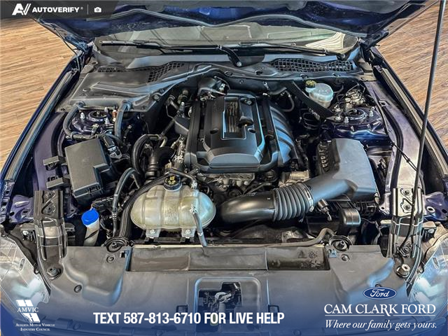 2020 Ford Mustang EcoBoost (Stk: P14825) in Airdrie - Image 10 of 25