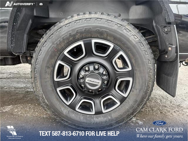 2023 Ford F-350 Platinum (Stk: P6918) in Olds - Image 6 of 25