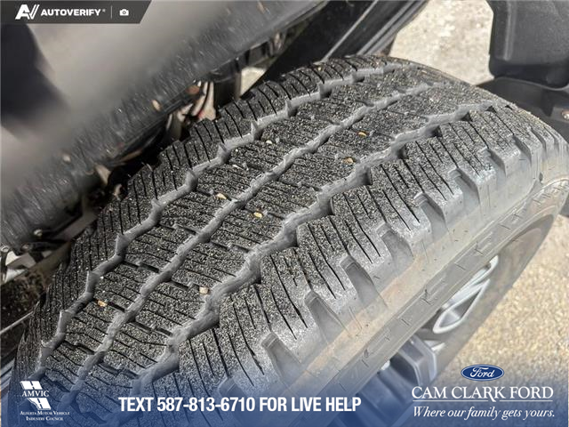 2023 Ford F-350 Platinum (Stk: P6918) in Olds - Image 7 of 25