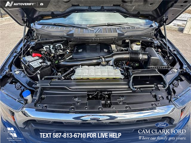 2023 Ford F-150 XLT (Stk: P1597) in Canmore - Image 10 of 25