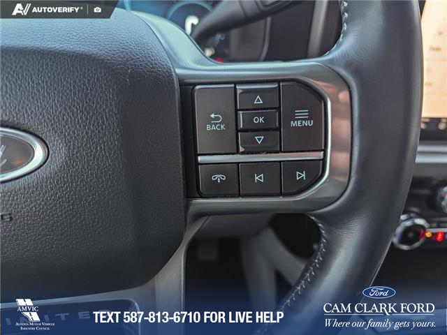 2023 Ford F-350 Limited (Stk: P6933) in Olds - Image 15 of 24