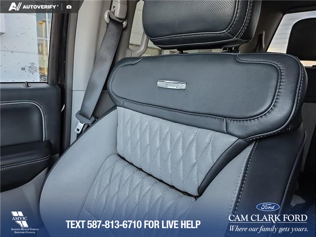 2023 Ford F-350 Limited (Stk: P6933) in Olds - Image 19 of 24