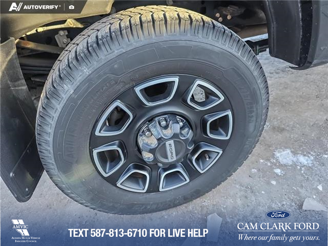 2023 Ford F-350 Platinum (Stk: P6884) in Olds - Image 6 of 24
