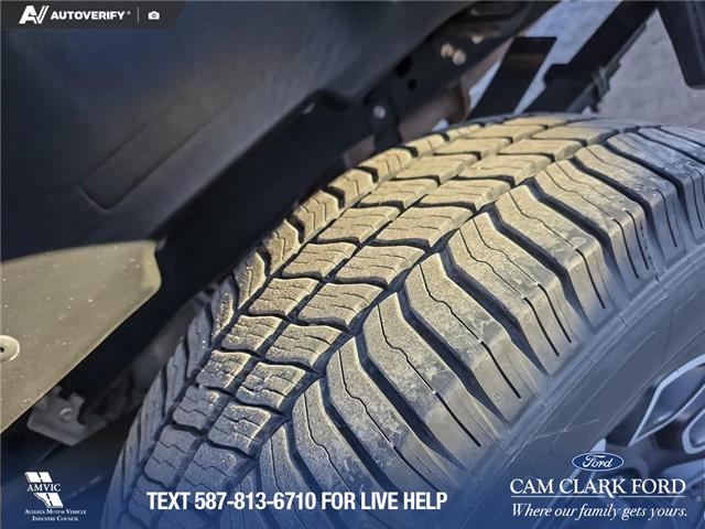 2023 Ford F-350 Platinum (Stk: P6884) in Olds - Image 7 of 24