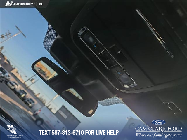 2023 Ford F-350 Platinum (Stk: P6884) in Olds - Image 20 of 24