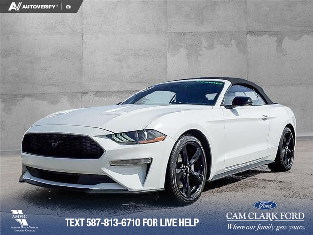 2022 Ford Mustang EcoBoost Premium (Stk: U38020) in Red Deer - Image 1 of 24