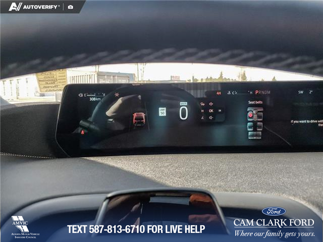 2025 Ford Expedition Tremor (Stk: U38030) in Red Deer - Image 15 of 25