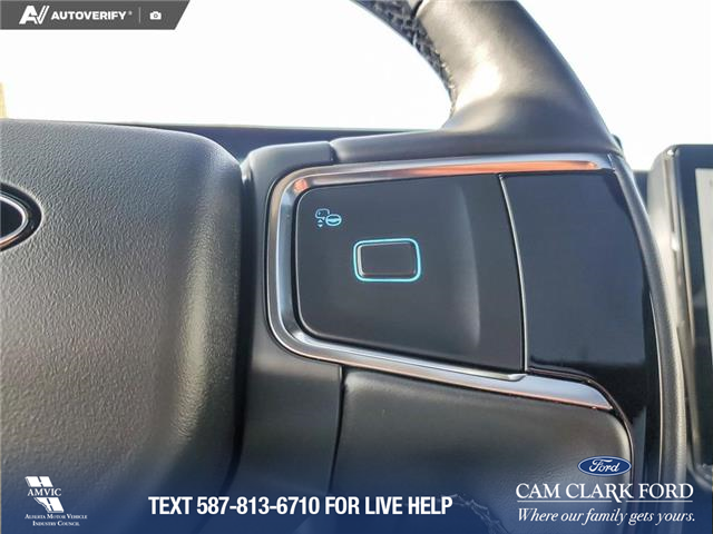 2025 Ford Expedition Tremor (Stk: U38030) in Red Deer - Image 16 of 25