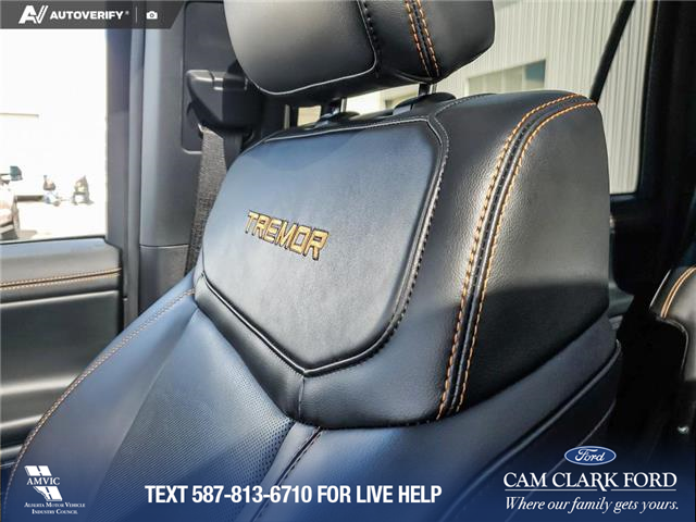 2025 Ford Expedition Tremor (Stk: U38030) in Red Deer - Image 20 of 25