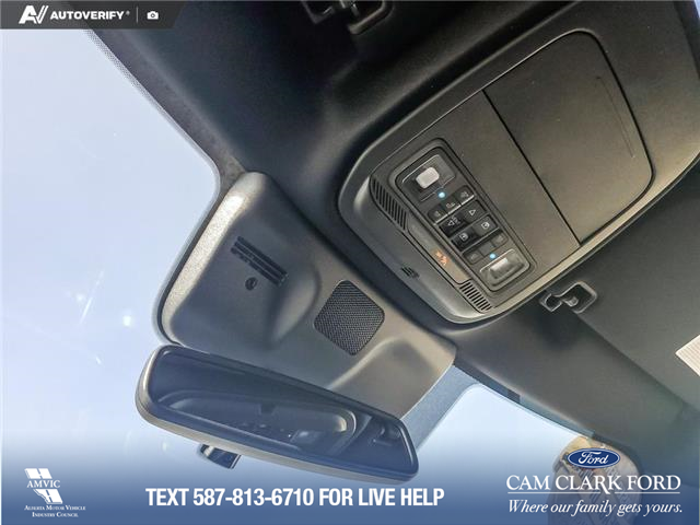 2025 Ford Expedition Tremor (Stk: U38030) in Red Deer - Image 21 of 25