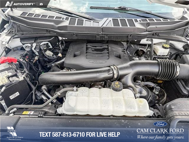 2023 Ford F-150 XLT (Stk: P6937) in Olds - Image 10 of 25