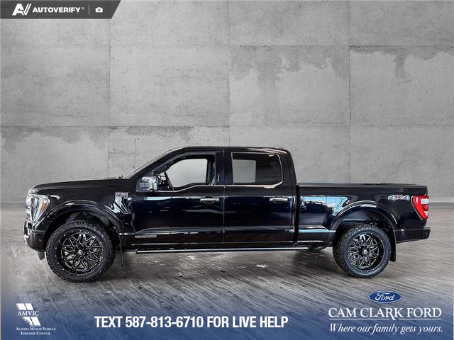 2023 Ford F-150 Platinum (Stk: P14965) in Airdrie - Image 3 of 24