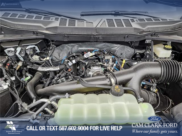 2024 Ford F-150 XLT (Stk: 24T2061) in Red Deer - Image 10 of 25