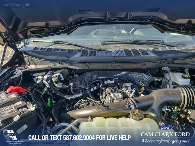 2025 Ford F-150 XLT (Stk: 25T5895) in Red Deer - Image 10 of 24