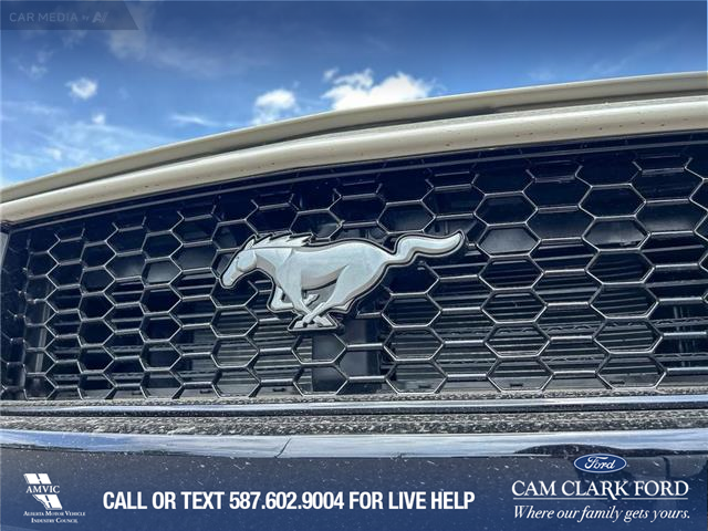 2025 Ford Mustang GT Premium (Stk: 25AC7560) in Airdrie - Image 9 of 25 2025 Ford Mustang GT Premium (Stk: 25AC7560) in Airdrie - Image 9 of 25