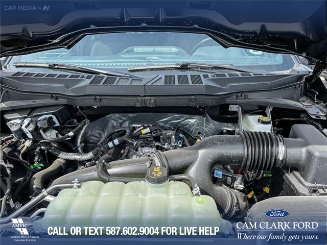2025 Ford F-150 XLT (Stk: 25AT4481) in Airdrie - Image 10 of 25