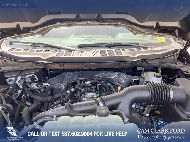 2025 Ford F-150 XLT (Stk: 25CT8954) in Canmore - Image 11 of 26
