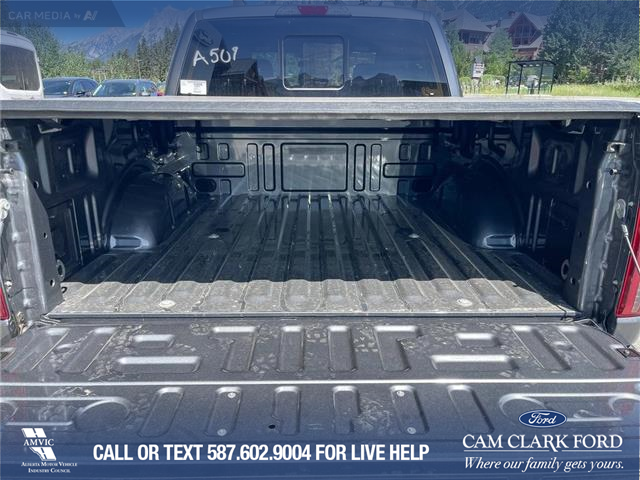 2025 Ford F-150 XLT (Stk: 25CT8954) in Canmore - Image 13 of 26
