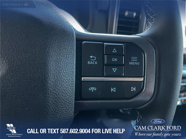 2025 Ford F-150 XLT (Stk: 25CT8954) in Canmore - Image 17 of 26