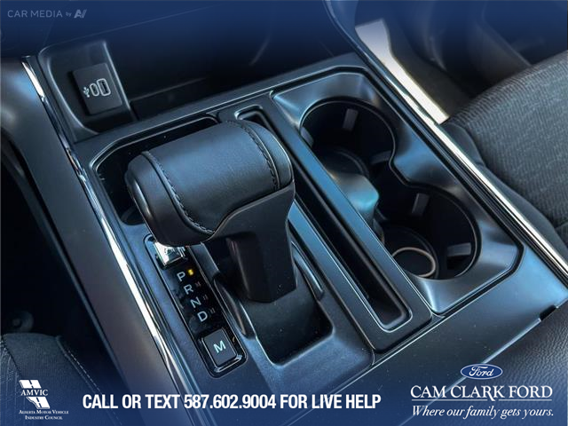 2025 Ford F-150 XLT (Stk: 25CT8954) in Canmore - Image 19 of 26