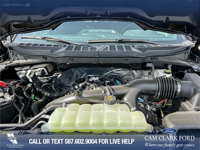2025 Ford F-150 XLT (Stk: 25AT2920) in Airdrie - Image 10 of 25 2025 Ford F-150 XLT (Stk: 25AT2920) in Airdrie - Image 10 of 25