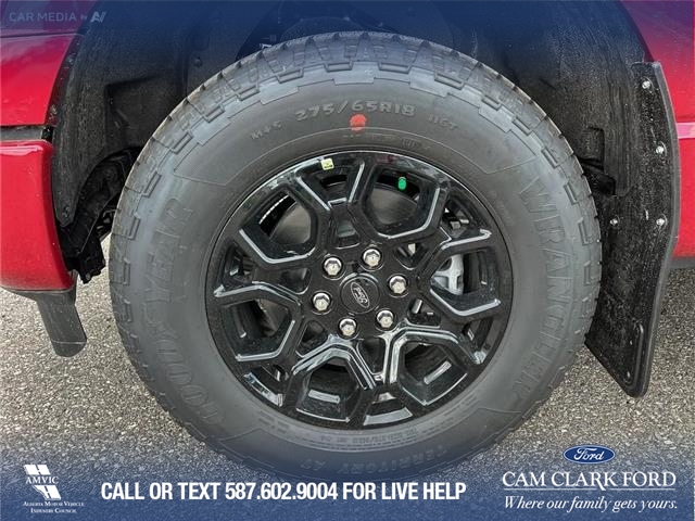 2025 Ford F-150 XLT (Stk: 25AT5289) in Airdrie - Image 6 of 25