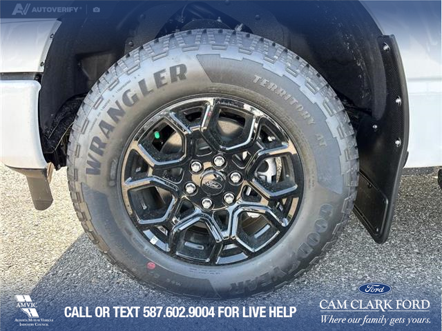 2025 Ford F-150 XLT (Stk: 25AT3720) in Airdrie - Image 6 of 25