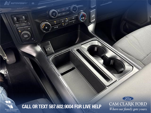 2025 Ford F-150 STX (Stk: 25T5132) in Red Deer - Image 19 of 24