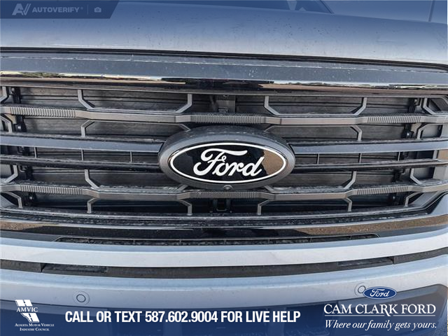 2025 Ford F-150 XLT (Stk: 25T8269) in Red Deer - Image 9 of 24