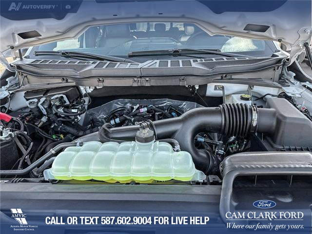 2025 Ford F-150 XLT (Stk: 25T8269) in Red Deer - Image 10 of 24