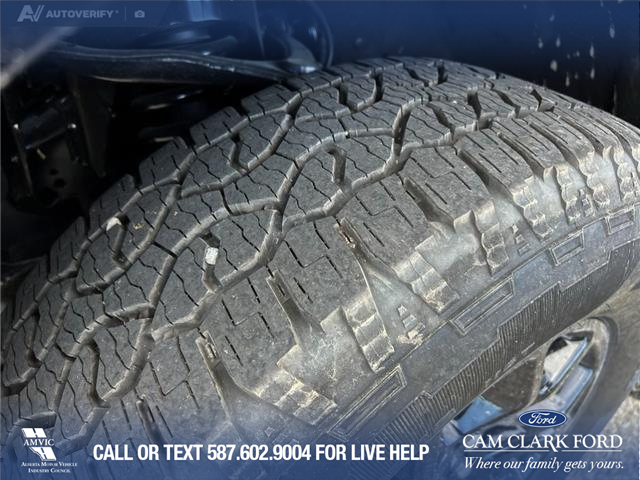 2025 Ford F-150 XLT (Stk: 25AT4262) in Airdrie - Image 7 of 25