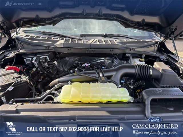 2025 Ford F-150 STX (Stk: 25T2750) in Red Deer - Image 10 of 24 2025 Ford F-150 STX (Stk: 25T2750) in Red Deer - Image 10 of 24