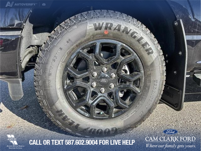 2025 Ford F-150 XLT (Stk: 25AT3372) in Airdrie - Image 6 of 25