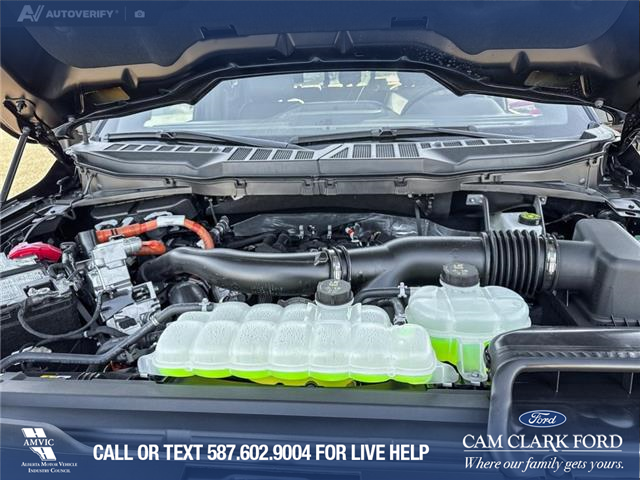 2025 Ford F-150 XLT (Stk: 25T8854) in Red Deer - Image 10 of 24