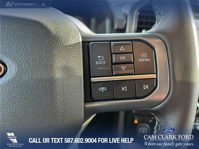 2025 Ford F-150 XLT (Stk: 25AT4499) in Airdrie - Image 16 of 25