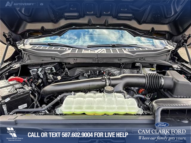 2025 Ford F-150 STX (Stk: 25T1278) in Red Deer - Image 10 of 24