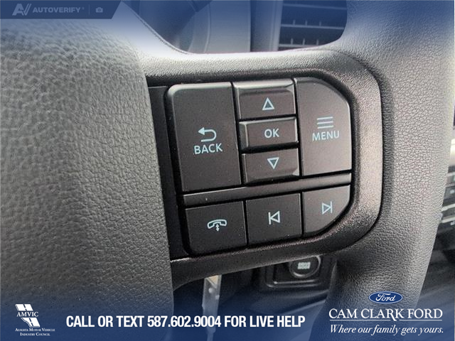 2025 Ford F-150 XL (Stk: 25CT9025) in Canmore - Image 16 of 25